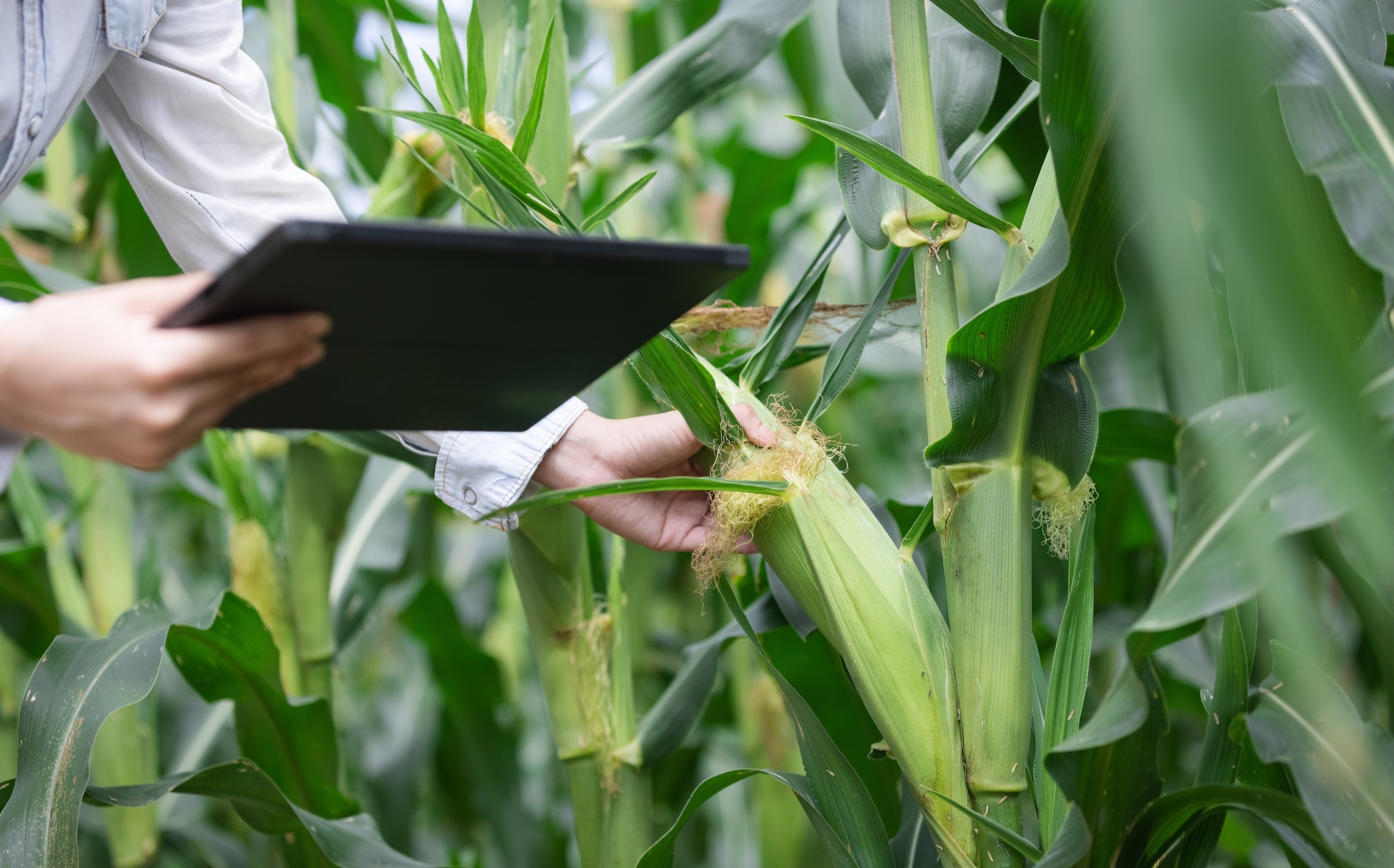 Agricultural Transformation: Increasing Efficiency and Safety with Digital Tracking Systems